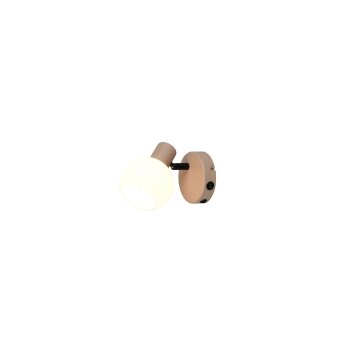Illuminazione Reality Boba Faretto da soffitto Beige, 1-Luce