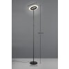 Illuminazione Reality Samba Lampada da terra LED Nero, 1-Luce, Telecomando, Cambia colore