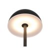 Illuminazione Reality Tembo Lampada da tavolo LED Nero, 1-Luce, Cambia colore