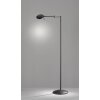 Trio KAZAN Lampada da terra LED Nero, 1-Luce