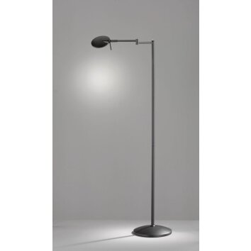 Trio KAZAN Lampada da terra LED Nero, 1-Luce