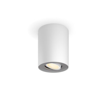 Illuminazione Philips Pillar Plafoniera Bianco, 1-Luce