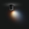 Illuminazione Philips Pillar Plafoniera Nero, 1-Luce