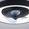 Illuminazione Leuchten Direkt VENIKA Plafoniera LED Nero, 1-Luce, Telecomando