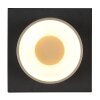 Illuminazione Globo Lighting Raymond Plafoniera LED Antracite, Nero, 1-Luce