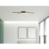 Illuminazione Globo Lighting Hilton Plafoniera LED Nero, 1-Luce