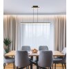 Illuminazione Globo Lighting Hilton Lampadario a sospensione LED Nero, 1-Luce