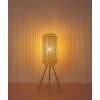 Illuminazione Globo Lighting Denton Lampada da terra Crema, 1-Luce