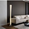 Illuminazione Globo Lighting Malinda Lampada da terra LED Antracite, Nichel opaco, 1-Luce
