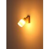 Illuminazione Globo Lighting Trent Cromo, Sabbia, 1-Luce