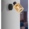 Illuminazione Globo Lighting Mali Applique, Faretto da parete Nero, 1-Luce