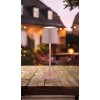 Illuminazione Globo Lighting Vancouver Lampada da tavolo LED Fucsia, 1-Luce