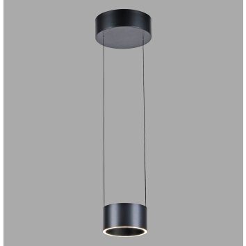 Illuminazione Paul Neuhaus Clipse Lampada a sospensione LED Grigio, 2-Luci, Telecomando