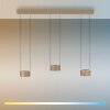Illuminazione Paul Neuhaus Clipse Lampada a sospensione LED Bronzo, 6-Luci, Telecomando