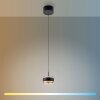 Illuminazione Paul Neuhaus Rings Lampada a sospensione LED Nero, Trasparente, chiaro, 1-Luce, Telecomando