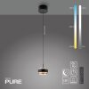 Illuminazione Paul Neuhaus Rings Lampada a sospensione LED Nero, Trasparente, chiaro, 1-Luce, Telecomando