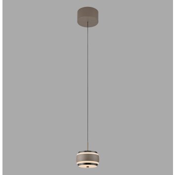 Illuminazione Paul Neuhaus Rings Lampada a sospensione LED Bronzo, Cromo, 1-Luce, Telecomando