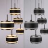 Illuminazione Paul Neuhaus Rings Lampada a sospensione LED Nero, Trasparente, chiaro, 5-Luci, Telecomando
