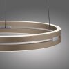 Illuminazione Paul Neuhaus E-Loop Lampada a sospensione LED Bronzo, 2-Luci, Telecomando