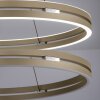 Illuminazione Paul Neuhaus E-Loop Lampada a sospensione LED Bronzo, 2-Luci, Telecomando