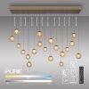 Illuminazione Paul Neuhaus Popup Lampada a sospensione LED Bronzo, 19-Luci, Telecomando