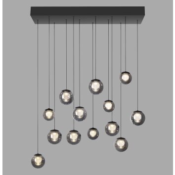 Illuminazione Paul Neuhaus Popup Lampada a sospensione LED Grigio, 13-Luci, Telecomando