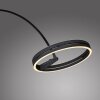 Illuminazione Paul Neuhaus Loop-Bow Lampada da terra LED Nero, 2-Luci