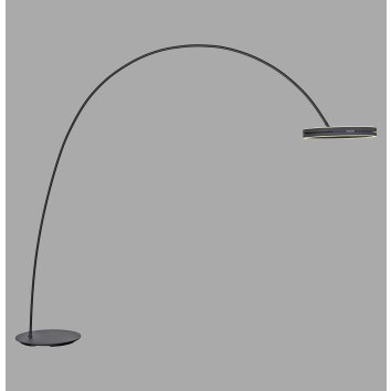 Illuminazione Paul Neuhaus Loop-Bow Lampada da terra, Lampade ad arco LED Nero, 2-Luci