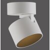 Illuminazione Paul Neuhaus Cup Plafoniera LED Bianco, 1-Luce