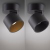 Illuminazione Paul Neuhaus Cup Plafoniera LED Nero, 1-Luce