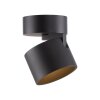 Illuminazione Paul Neuhaus Cup Plafoniera LED Nero, 1-Luce