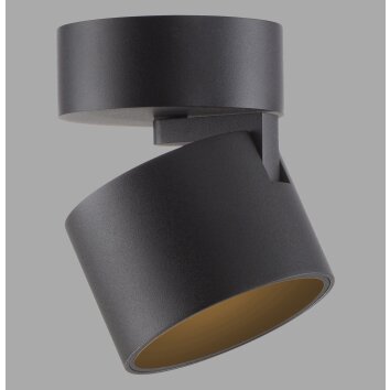 Illuminazione Paul Neuhaus Cup Plafoniera LED Nero, 1-Luce