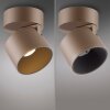 Illuminazione Paul Neuhaus Cup Plafoniera LED Bronzo, 1-Luce