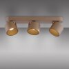 Illuminazione Paul Neuhaus Cup Plafoniera LED Bronzo, 3-Luci