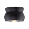 Illuminazione Paul Neuhaus Move Plafoniera LED Nero, 1-Luce