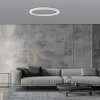 Illuminazione Paul Neuhaus Round Plafoniera LED Bianco, 1-Luce, Telecomando