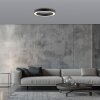 Illuminazione Paul Neuhaus Round Plafoniera LED Grigio, 1-Luce, Telecomando