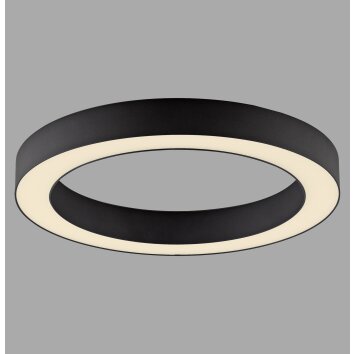 Illuminazione Paul Neuhaus Round Plafoniera LED Grigio, 1-Luce, Telecomando