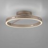 Illuminazione Paul Neuhaus Loop Plafoniera LED Bronzo, 2-Luci, Telecomando