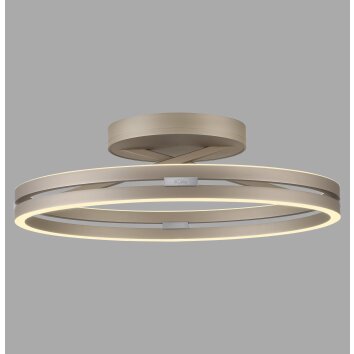 Illuminazione Paul Neuhaus Loop Plafoniera LED Bronzo, 2-Luci, Telecomando