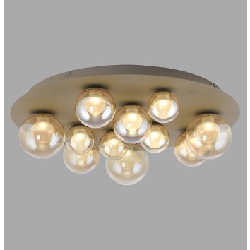 Illuminazione Paul Neuhaus Popup Plafoniera LED Bronzo, 11-Luci, Telecomando