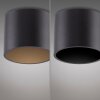 Illuminazione Paul Neuhaus Point Plafoniera LED Nero, 1-Luce