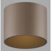 Illuminazione Paul Neuhaus Point Plafoniera LED Bronzo, 1-Luce