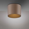 Illuminazione Paul Neuhaus Point Plafoniera LED Bronzo, 1-Luce