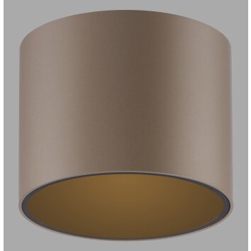 Illuminazione Paul Neuhaus Point Plafoniera LED Bronzo, 1-Luce