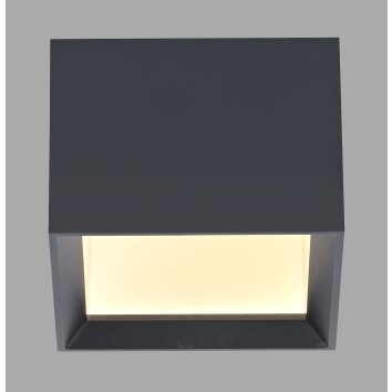 Illuminazione Paul Neuhaus Manhattan Plafoniera LED Grigio, 1-Luce, Telecomando