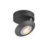 Illuminazione Paul Neuhaus Oculis Plafoniera LED Nero, 1-Luce