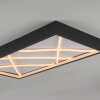 Illuminazione Leuchten Direkt MIKADO Plafoniera LED Nero, 1-Luce