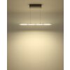 Illuminazione Globo Lighting Novak Lampadario a sospensione LED Nichel opaco, 1-Luce