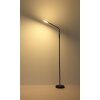 Illuminazione Globo Lighting Silvio Lampada da terra LED Nero, 1-Luce
